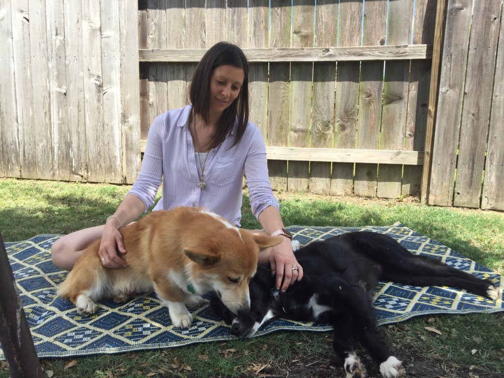 Animal Reiki - picture showing two dogs with Amy giving Reiki