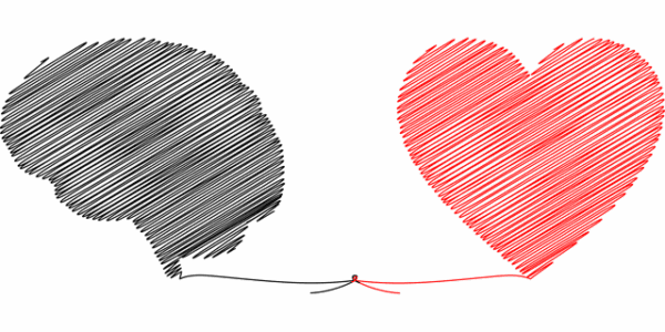 heart brain coherence with collective reiki intention Heart and brain connected in sketch style. Showing how coherence effects our entire being